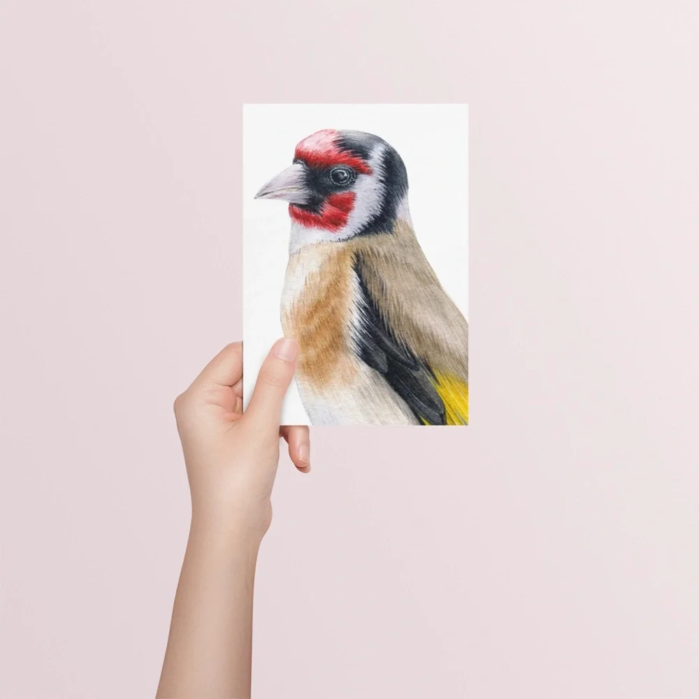 Watercolor Wall Art Goldfinch Bird Illustration Print Poster Unframed - Picture 7 of 9